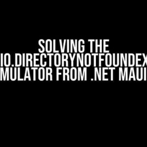 Solving the System.IO.DirectoryNotFoundException on iOS Simulator from .NET MAUI Project