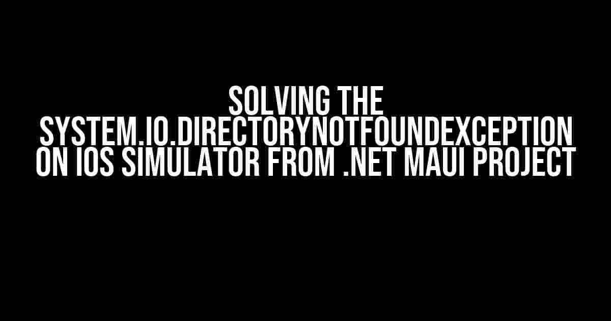 Solving the System.IO.DirectoryNotFoundException on iOS Simulator from .NET MAUI Project